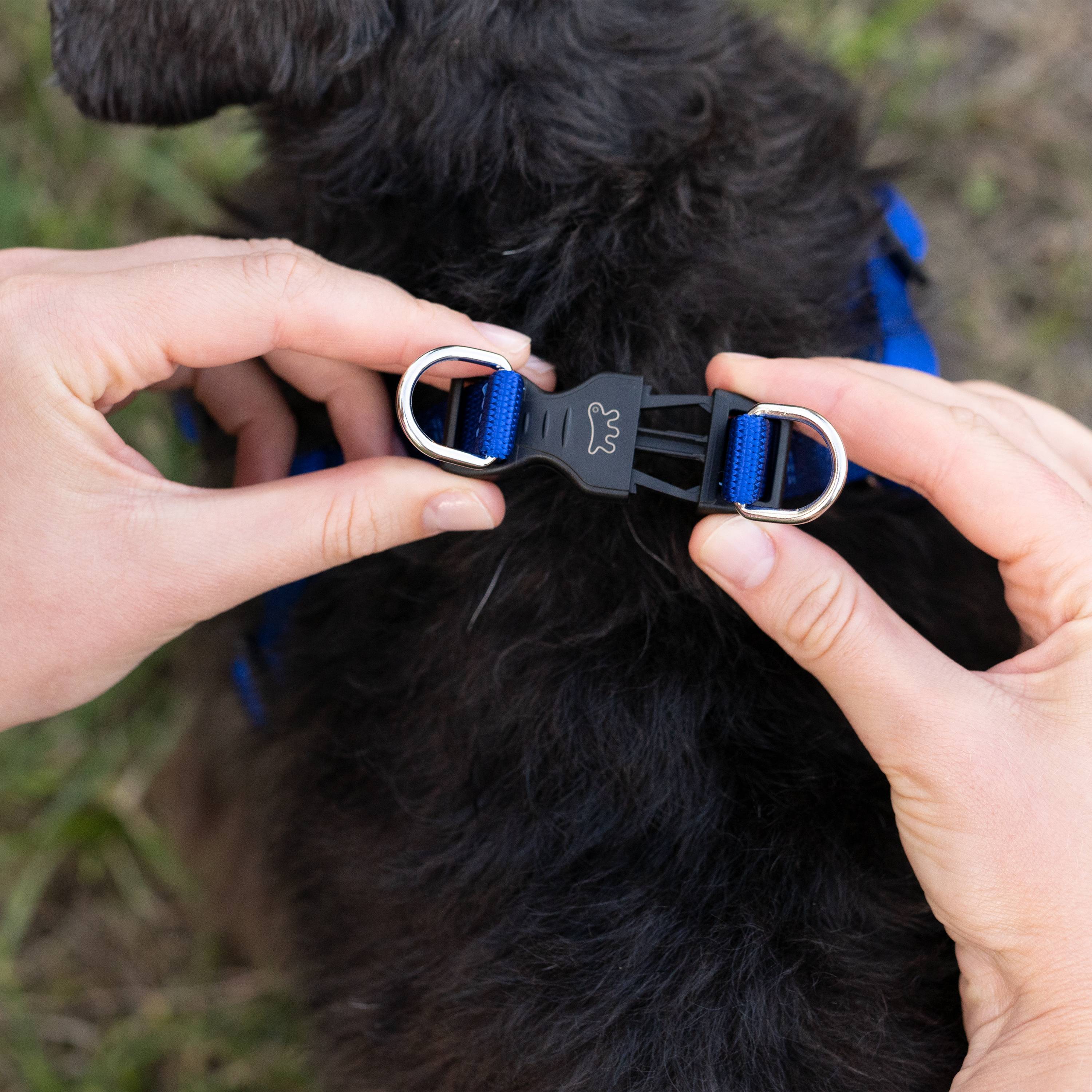 Ferplast - Harnais nylon chien rembourrage simple FERPLAST DAYTONA plusieurs tailles couleurs - Imagen 6