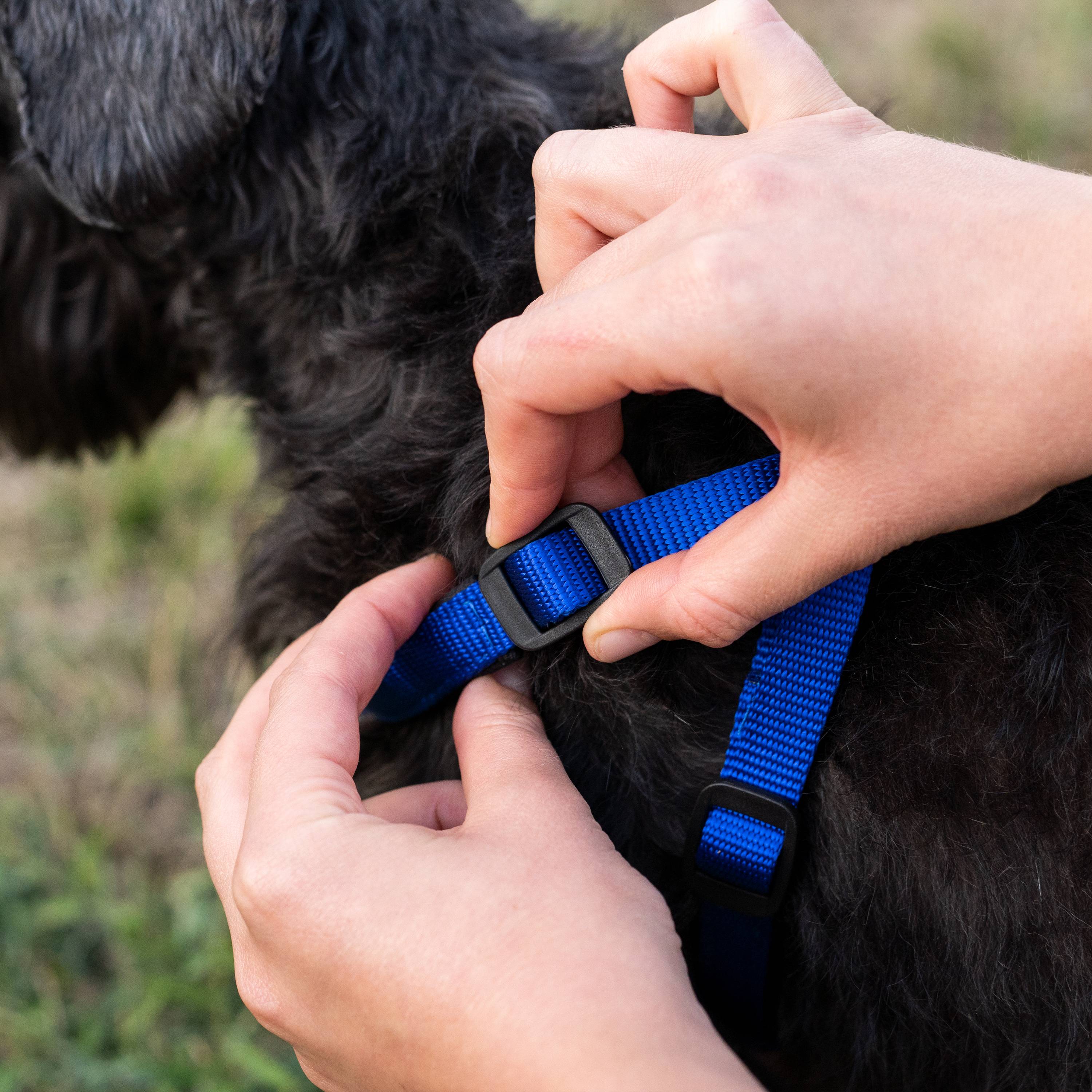 Ferplast - Harnais nylon chien rembourrage simple FERPLAST DAYTONA plusieurs tailles couleurs - Imagen 4