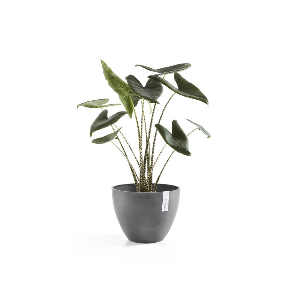 Ecopots - Pot Rond Antwerp 30 Gris - Ø 30 x H. 25,5 cm - 11,4 L ECOPOTS - Imagen 3