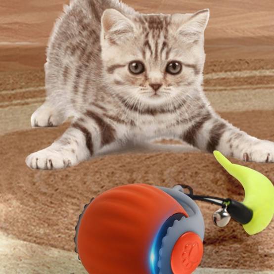 IntiMeg - Jouet pour chat Balle automatique pour chat Orange IntiMeg - Image 6