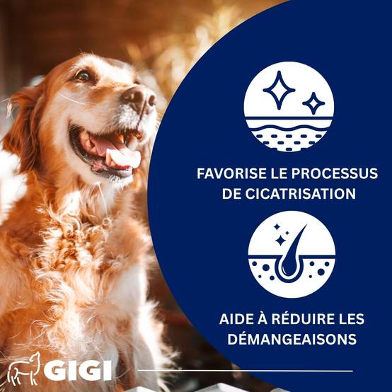 Oméga 3 & Calcium Naturel 90 capsules GIGI VET - Image 3