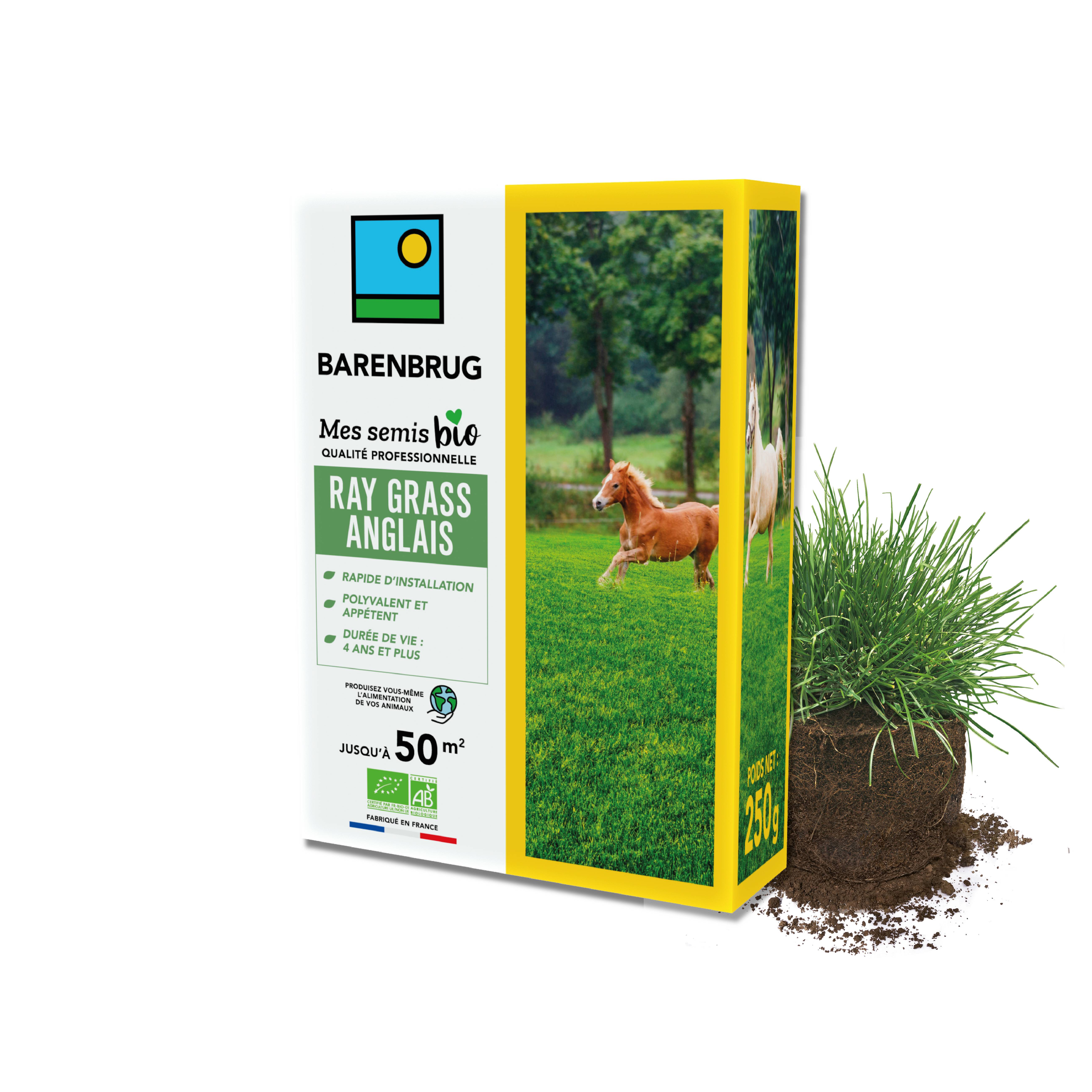 Barenbrug - Ray-grass anglais - Rapide d'Installation - Polyvalent et Appétent - Durée de Vie 4 ans et + - 250G - BARENBRUG - Image 1
