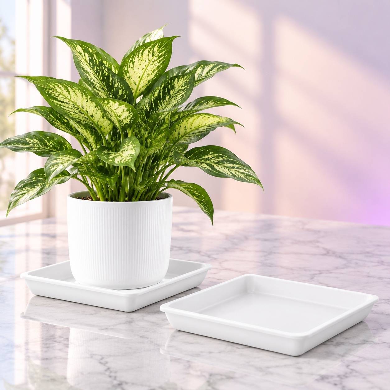 Soucoupe de Pot de Fleurs Carrée en Plastique avec Rétention d’Eau pour Balcon et Jardin Lot de 2 - Image 6
