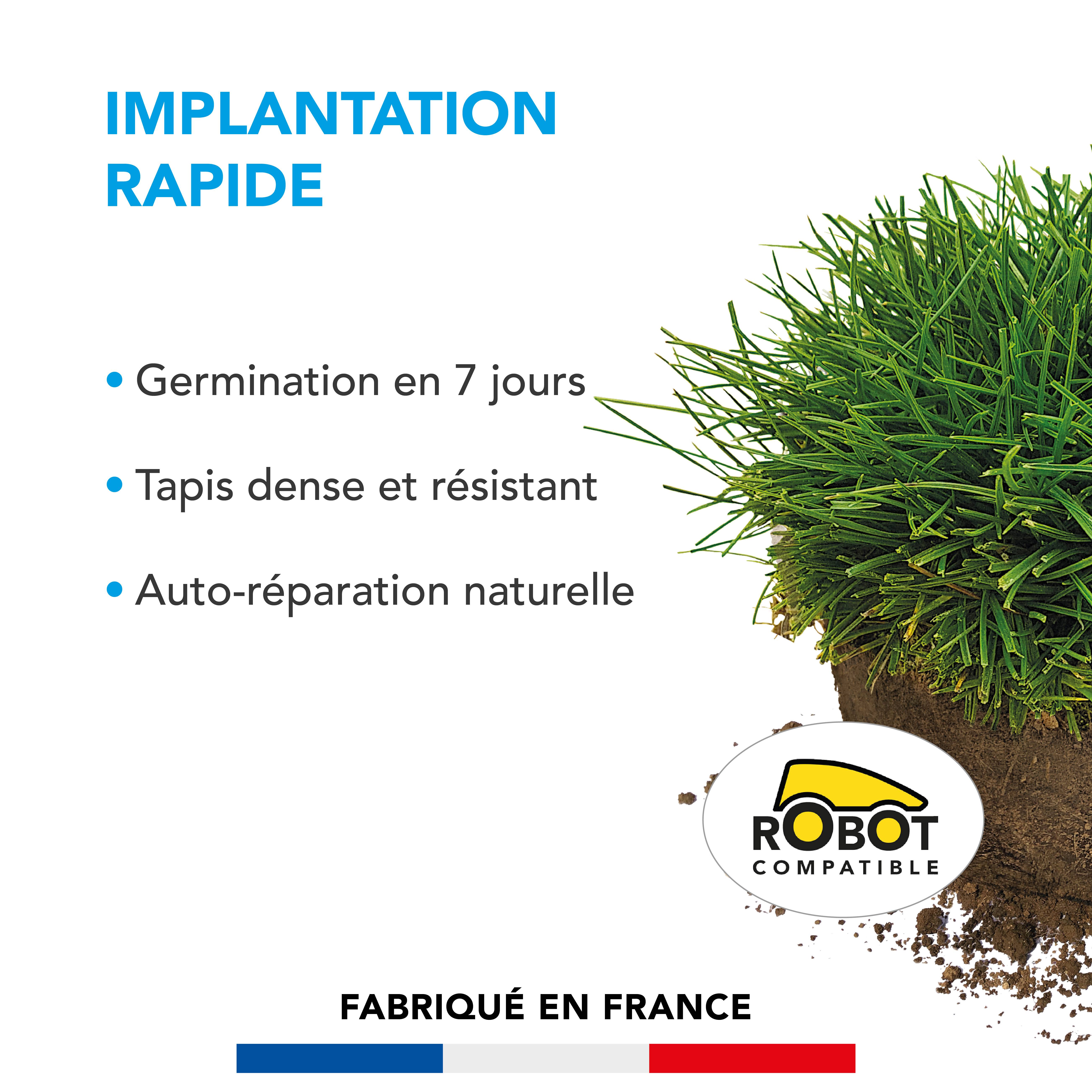 Gazon Implantation Rapide - Germination en 7 Jours - Tapis Dense et Résistant - Autoréparation Naturelle - 5KG - BARENBRUG - Image 2