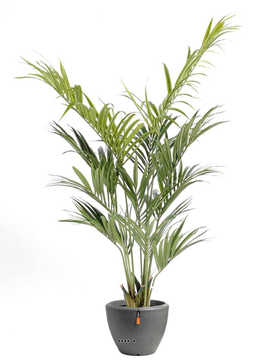 Artificielles - Palmier Kentia artificiel en pot superbe de réalisme H 210 cm Vert - dimhaut: H 210 cm - couleur: Vert