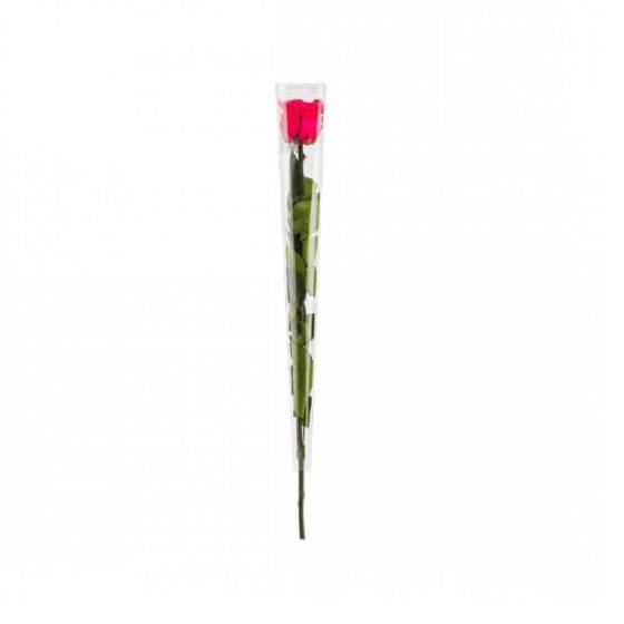 Naturalys - Naturalys - Rosa en tallo estabilizada Color fucsia - Imagen 1