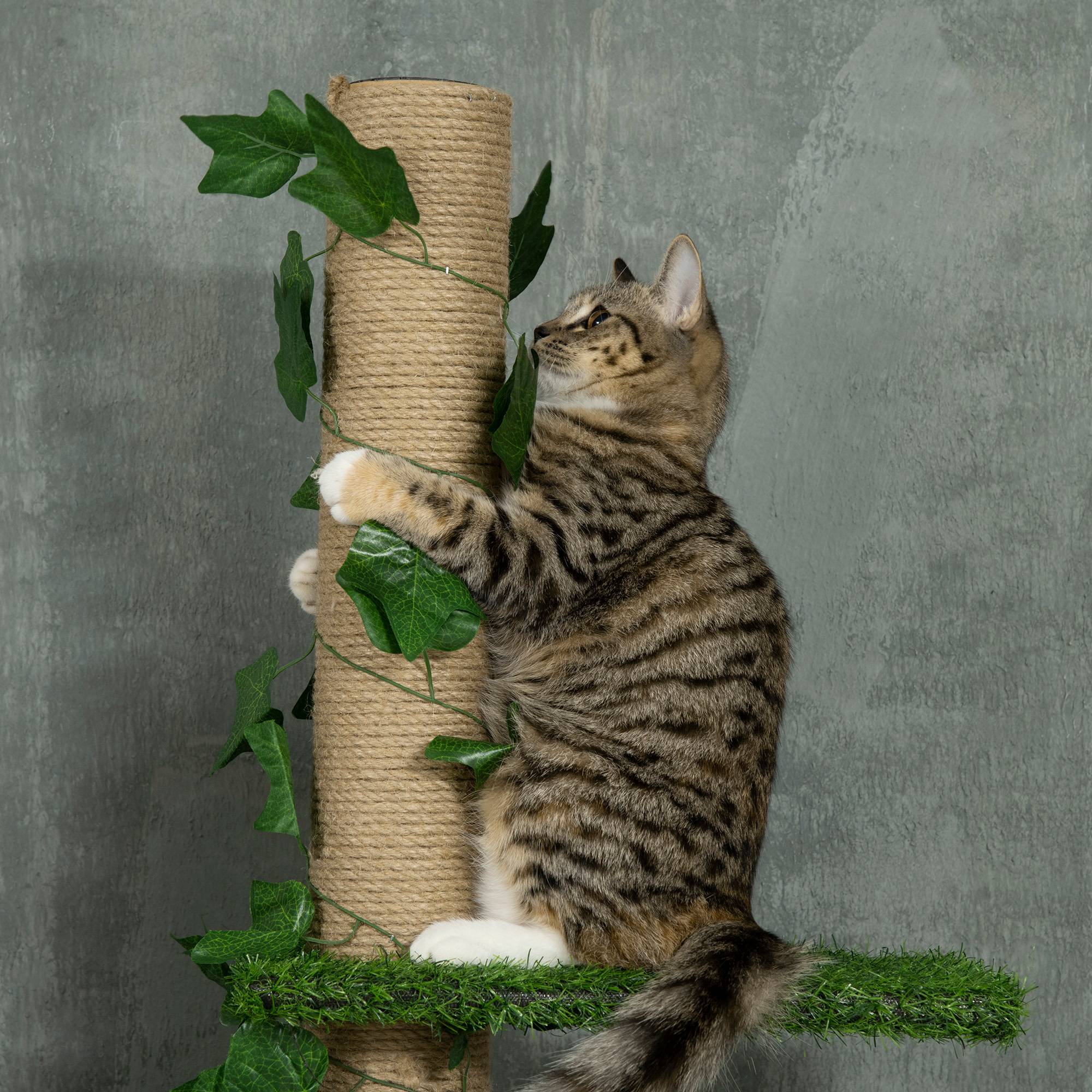 Pawhut - Arbre à chat poteau à griffer design hauteur réglable dim. 37L x 21l x 202- 242H cm 4 niveaux beige vert - Imagen 8