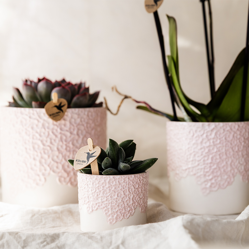 Cache-pot céramique en relief floral - courbes douces et coloris tendres - Pot de 12cm - rose - Image 3