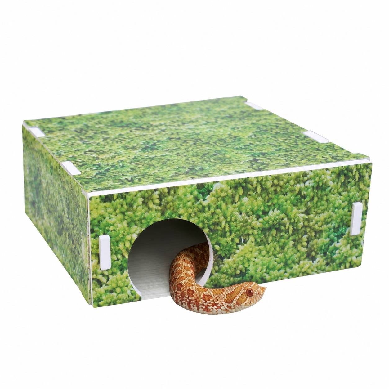 Abri Arche pour Serpent des Blés Cachette Reptile Terrarium