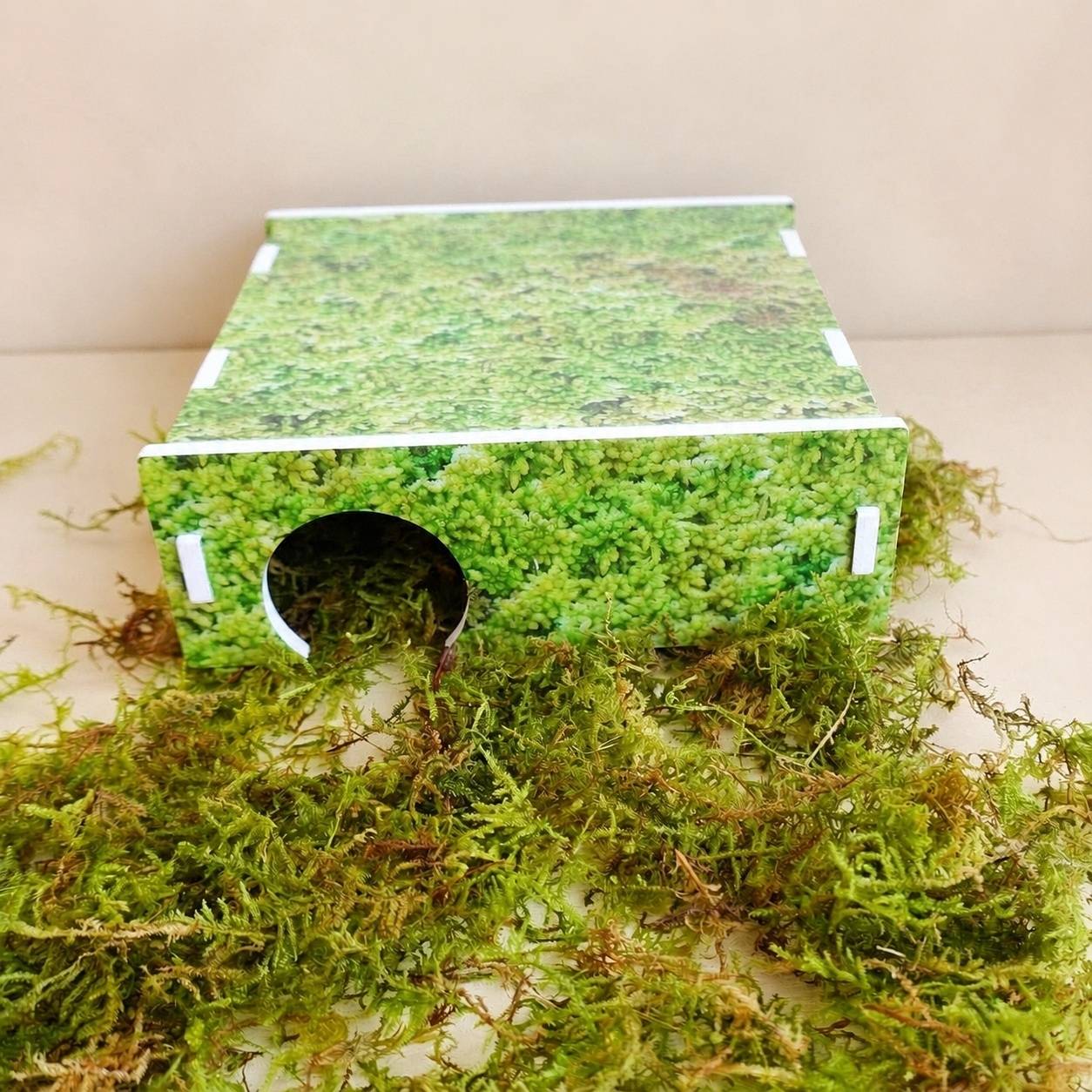 Abri Arche pour Serpent des Blés Cachette Reptile Terrarium - Image 3