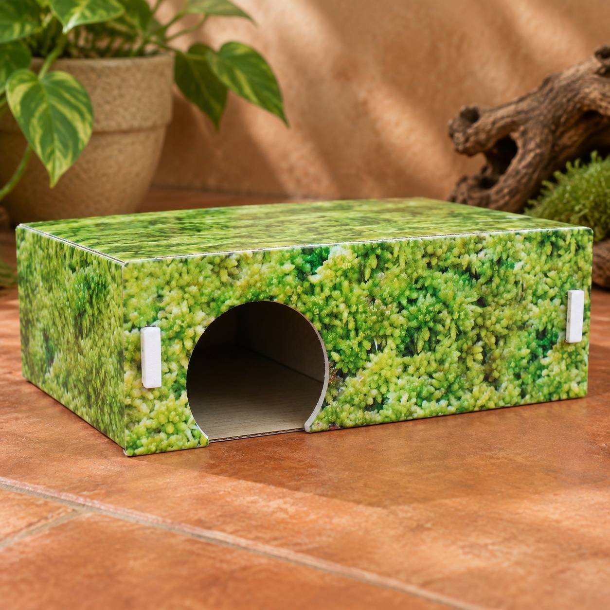Abri Arche pour Serpent des Blés Cachette Reptile Terrarium - Image 4