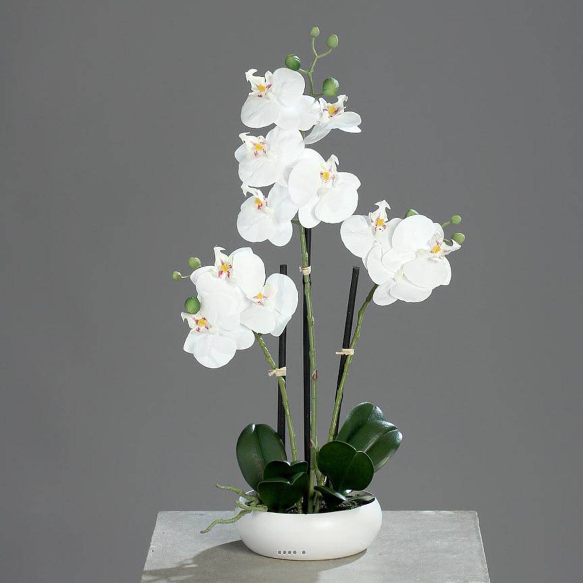 Artificielles - Orchidee factice 3 hampes en coupe ceramique H45cm touché réel Crème - couleur: Crème - Imagen 2