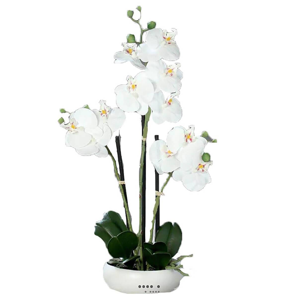 Artificielles - Orchidee factice 3 hampes en coupe ceramique H45cm touché réel Crème - couleur: Crème - Imagen 1