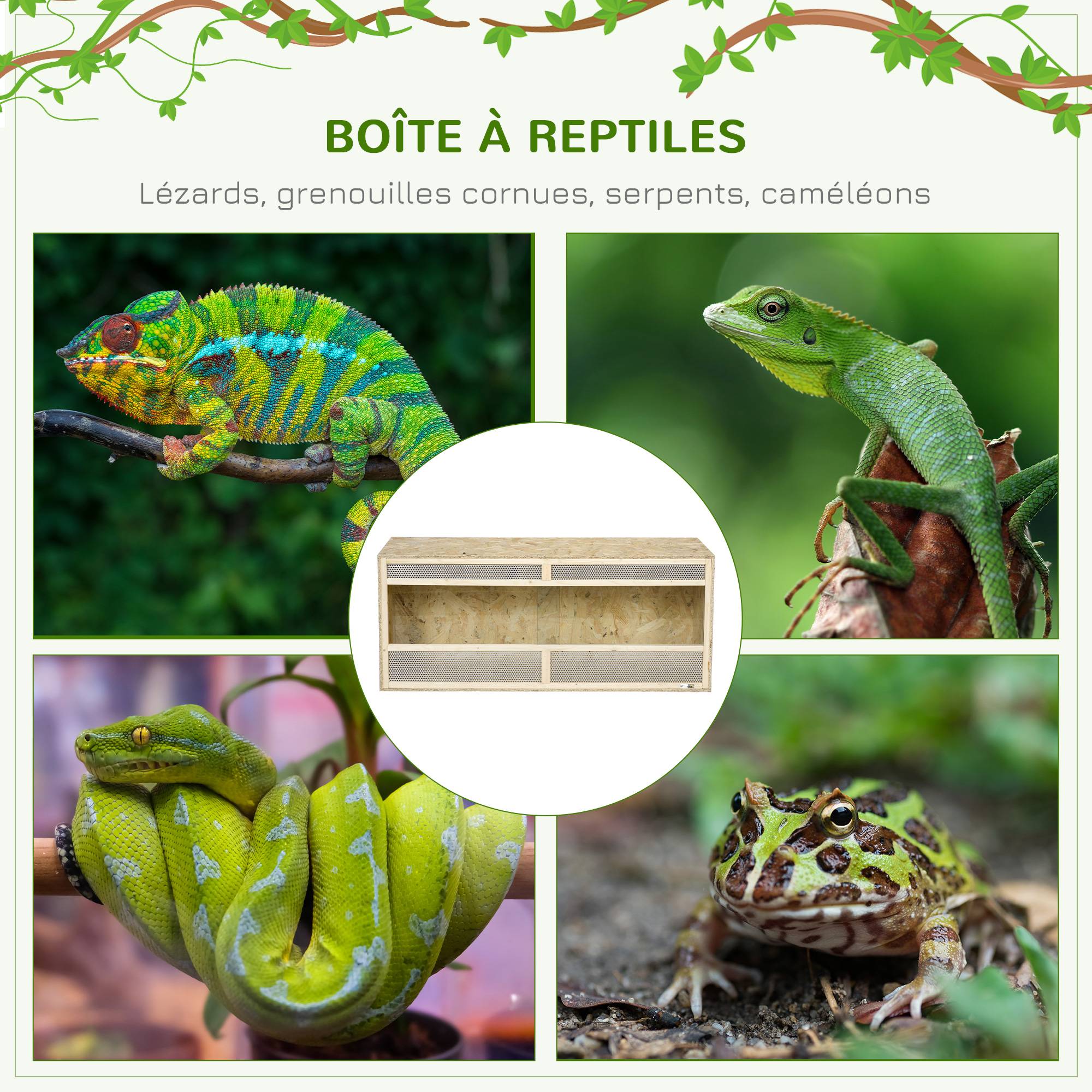 Terrarium bois OSB naturel 120 x 50 x 50 cm - PANGIVO - Image 6