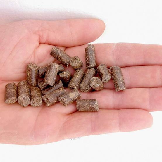 Engrais 100 % tourteau de ricin granulés - Agro Sens - Sac 12 kg - Image 7