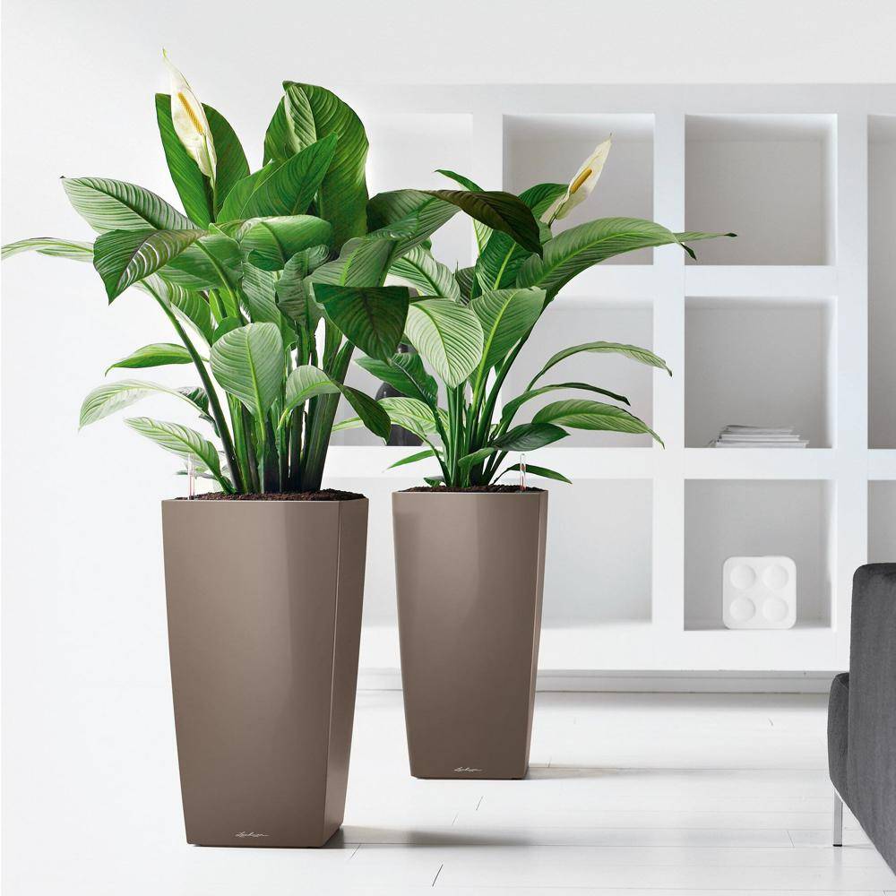 Lechuza - Cubico Premium 22 - kit complet, taupe brillant 41 cm Lechuza - Imagen 3
