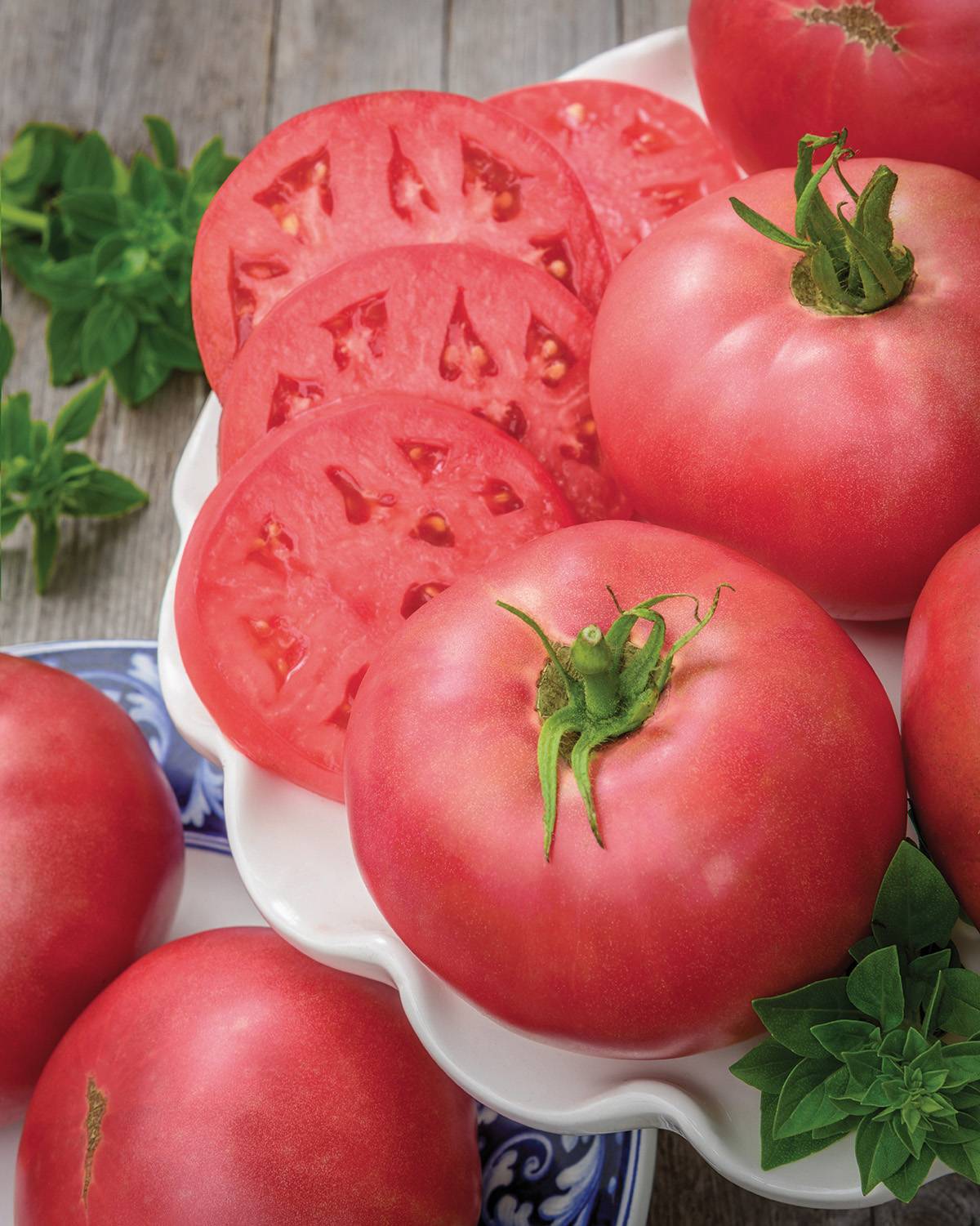 Plant de tomate Rose Crush pot de 0,5 litre - Image 1