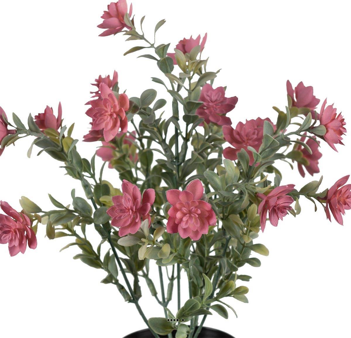 Artificielles - Succulente fleurie factice cactée Vieux Rose pot H30cmD25cm plastique - Imagen 3
