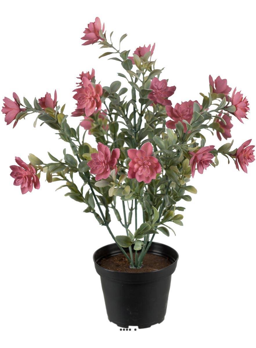 Artificielles - Succulente fleurie factice cactée Vieux Rose pot H30cmD25cm plastique - Imagen 2