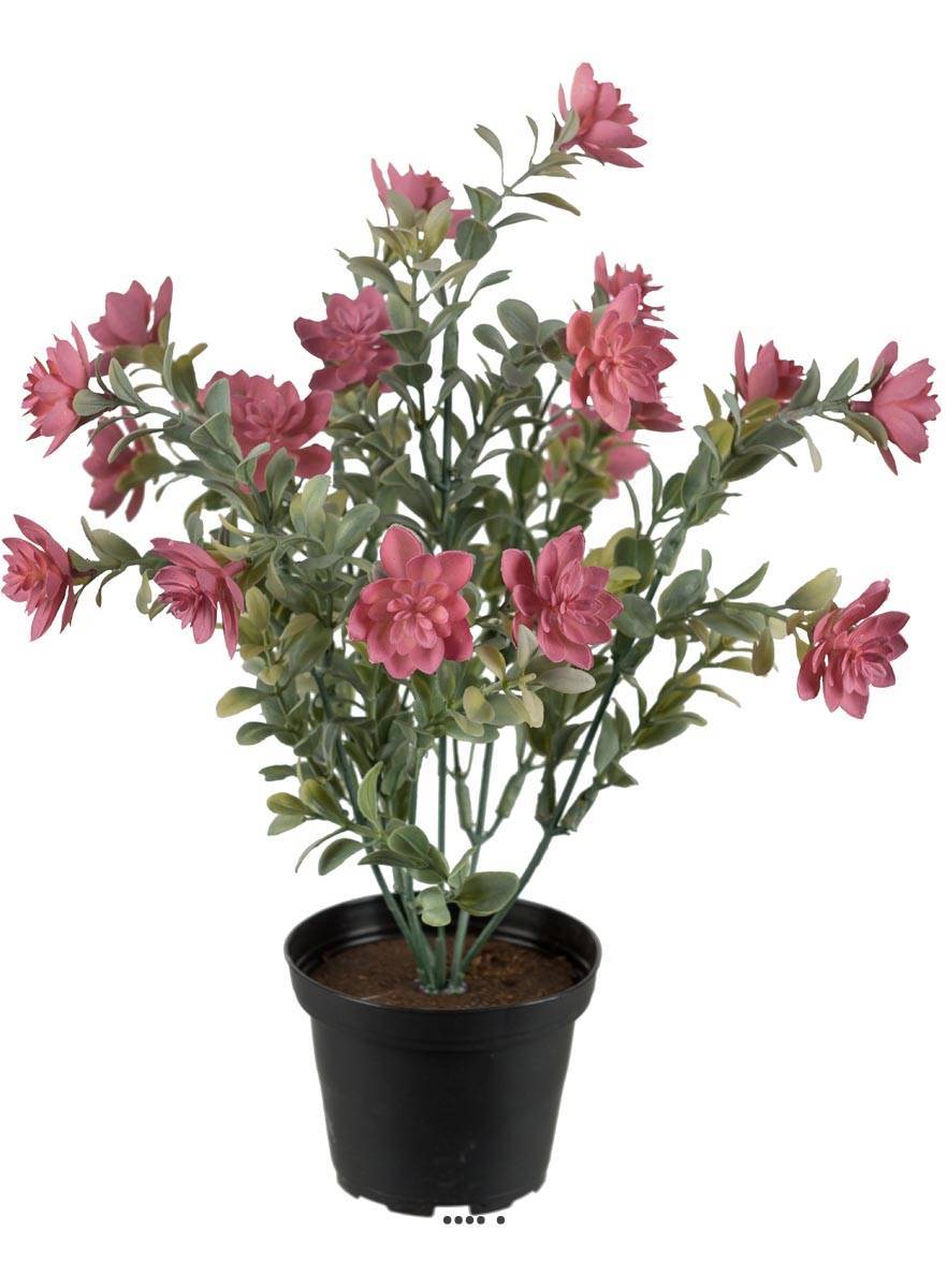 Artificielles - Succulente fleurie factice cactée Vieux Rose pot H30cmD25cm plastique - Imagen 1