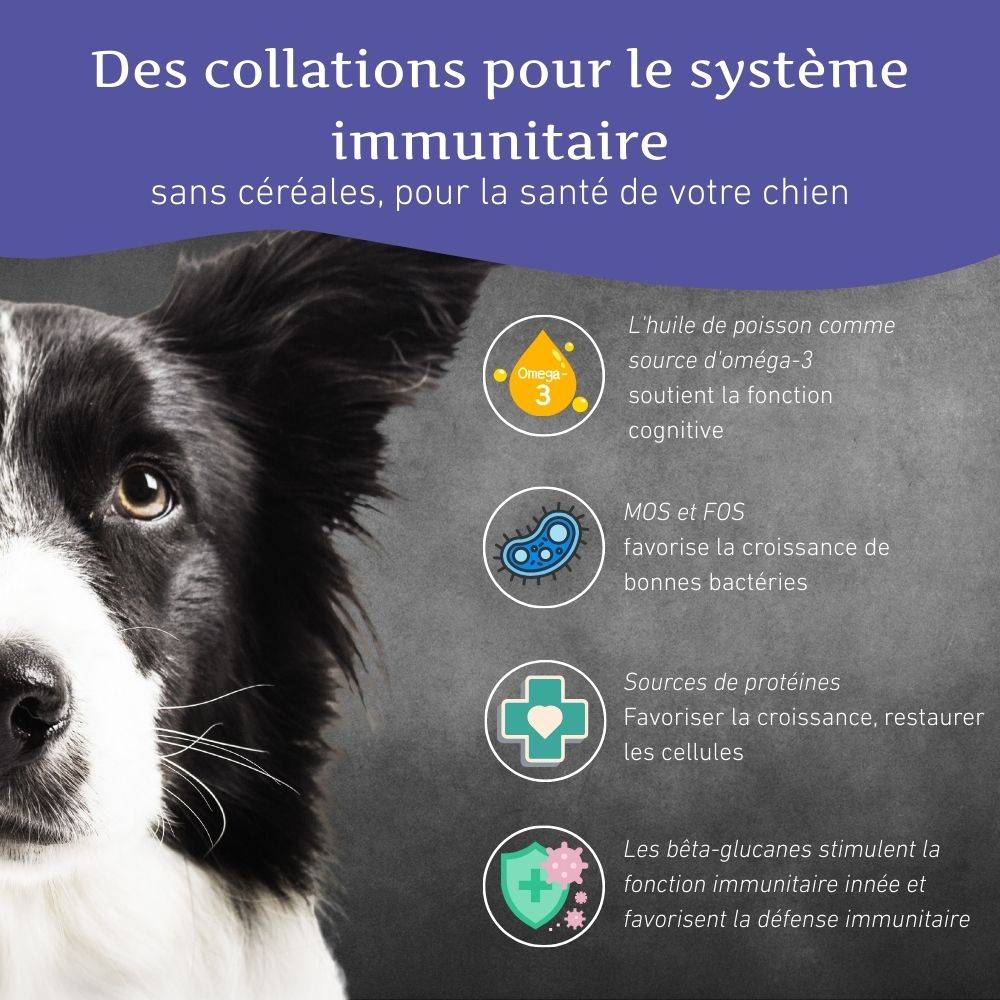 Wildfang - Wildfang - Coffret « En-cas sain » – Une récompense naturelle pour le bonheur de chaque chien - Image 2