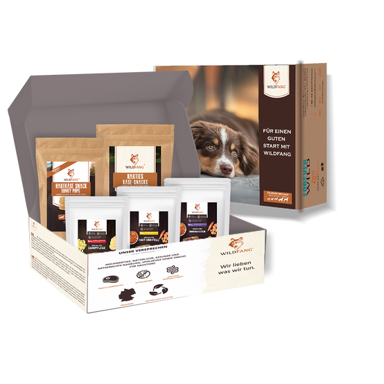 Wildfang - Wildfang - Coffret « En-cas sain » – Une récompense naturelle pour le bonheur de chaque chien - Image 1