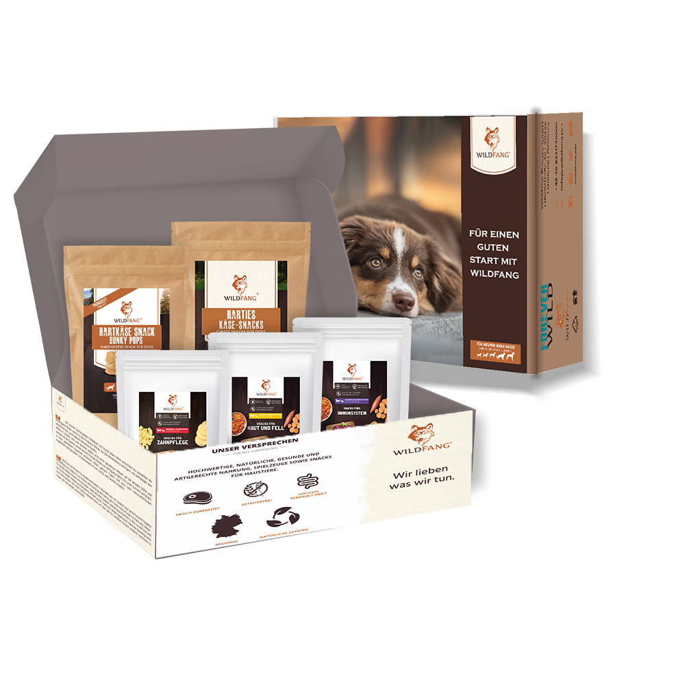 Wildfang - Wildfang - Coffret « En-cas sain » – Une récompense naturelle pour le bonheur de chaque chien - Image 1