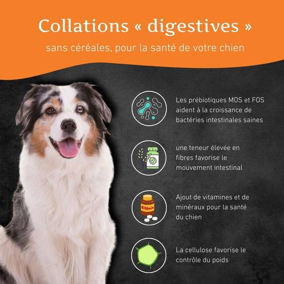 Wildfang - Wildfang - Coffret « En-cas sain » – Une récompense naturelle pour le bonheur de chaque chien - Image 6