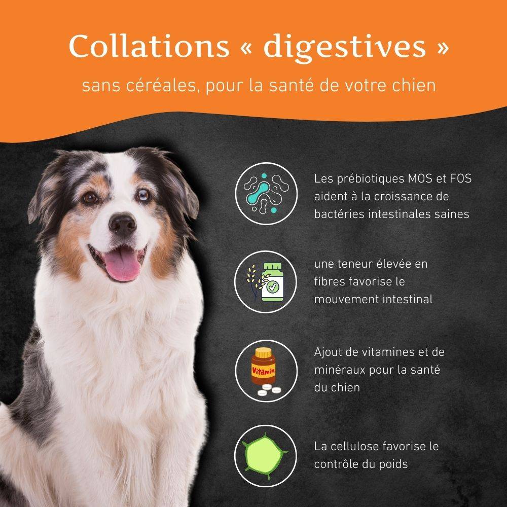 Wildfang - Wildfang - Coffret « En-cas sain » – Une récompense naturelle pour le bonheur de chaque chien - Image 6