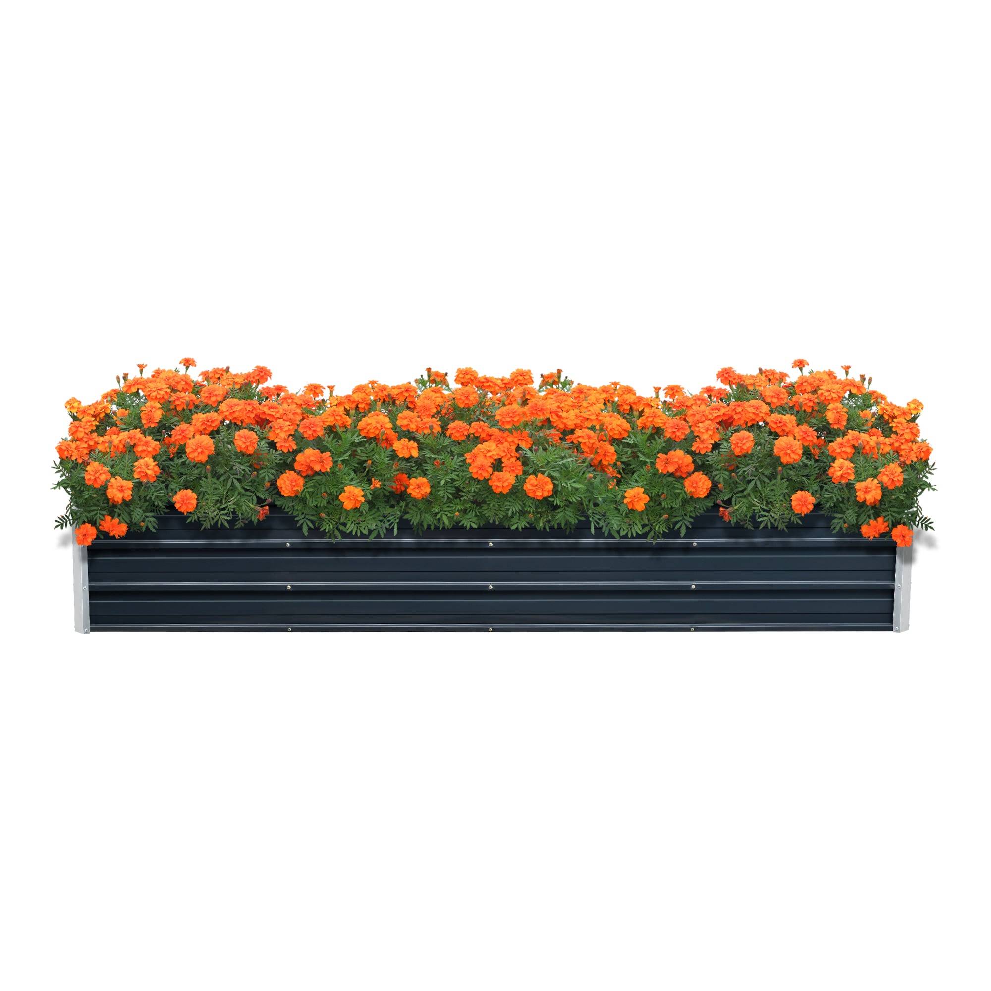 Helloshop26 - Jardinière à 3 barres de séparation 240 x 47 x 40 cm anthracite - Imagen 2