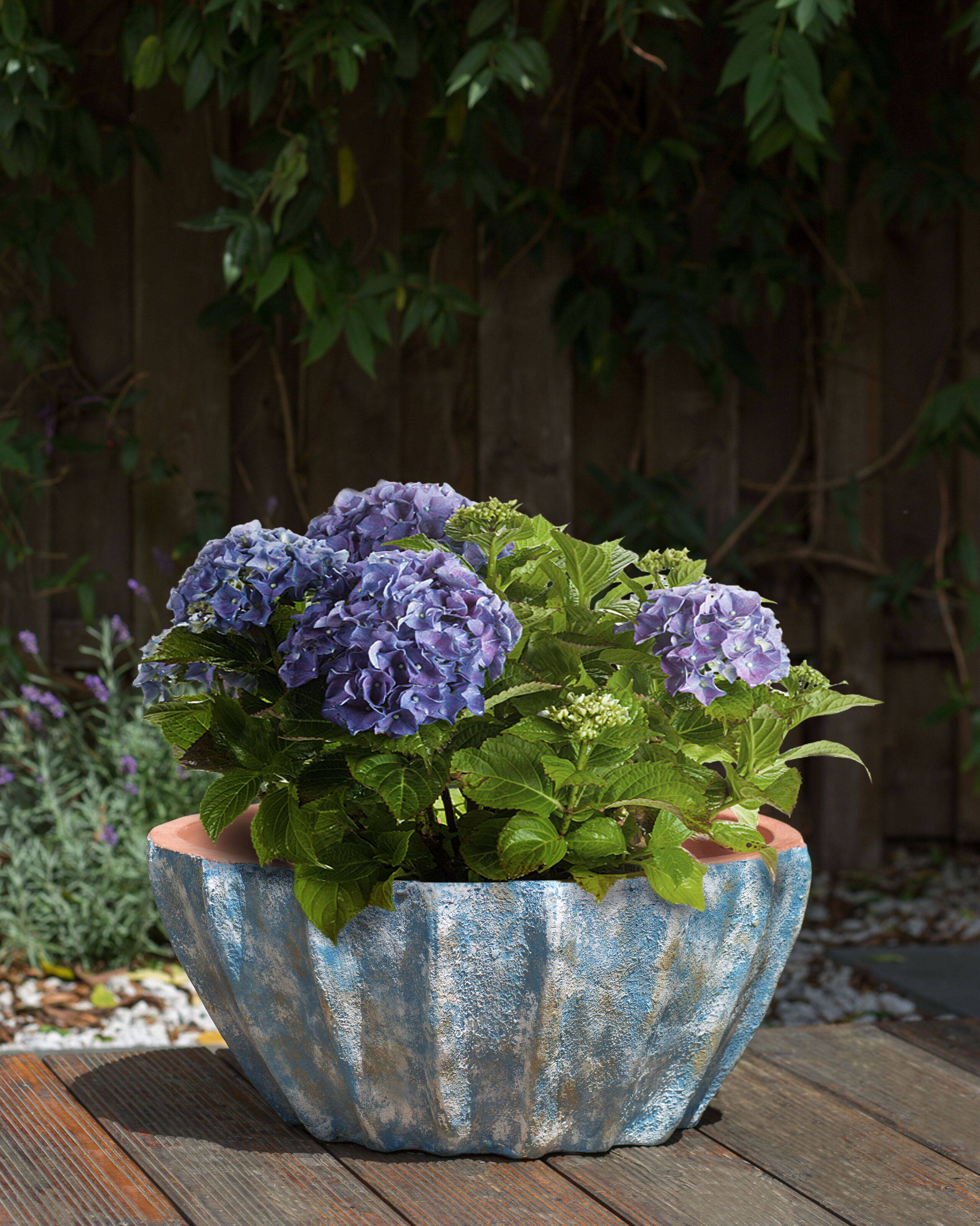 Beliani - Cache-pot d'extérieur Terre cuite Bleu OSTRYA - 51x51x24- Beliani