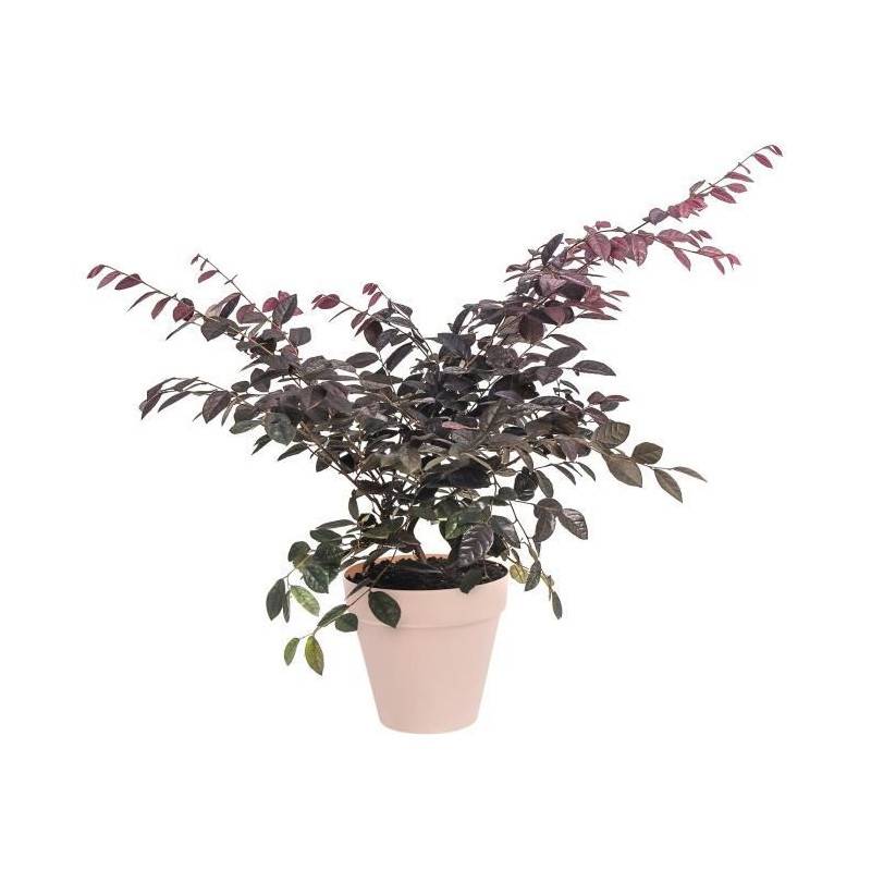 Elho - Elho Pot De Fleurs Rond Avec Roues Loft Urban - ø 40 Cm - Fruits Rouges - Imagen 2