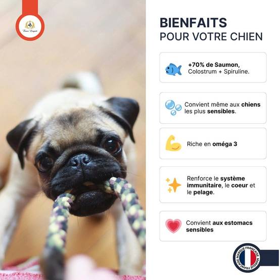 France Croquettes - France Croquettes Friandise pour chien Bouchées de saumon au colostrum - 300 g - Image 3