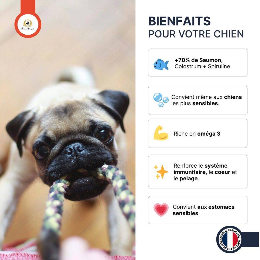 France Croquettes - France Croquettes Friandise pour chien Bouchées de saumon au colostrum - 300 g - Image 3