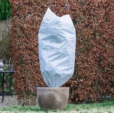 Housse d'hivernage 50g, Couleur Vert, Diamètre 100 cm à l'unité - Image 1