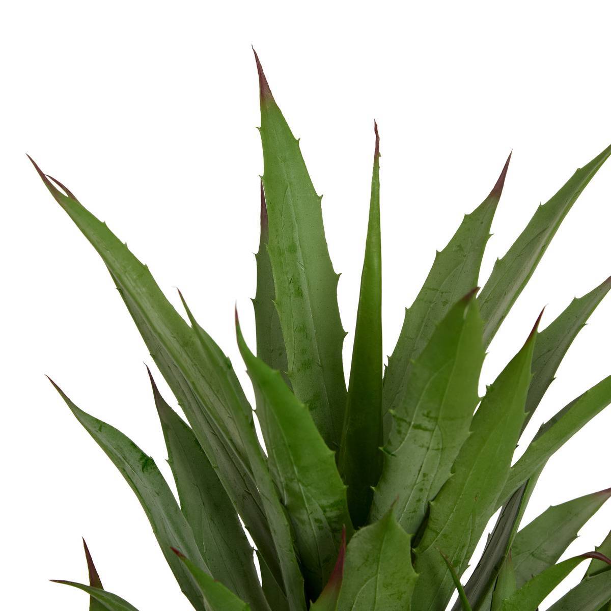 Atmosphera - Agave artificiel Moda H.61cm vert - Atmosphera Créateur d'intérieur - Image 5
