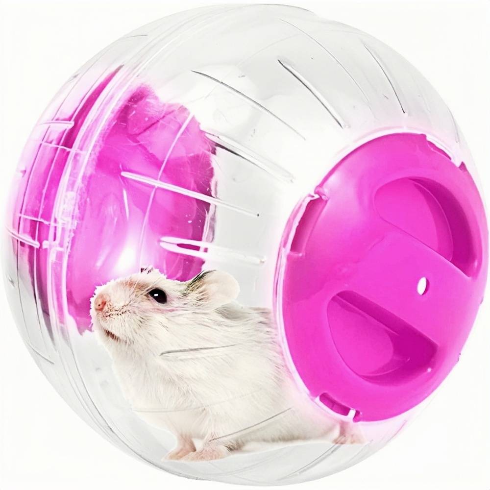 DtopbuyAge - Balle d'exercice pour hamsters, rats et gerbilles DtopbuyAge