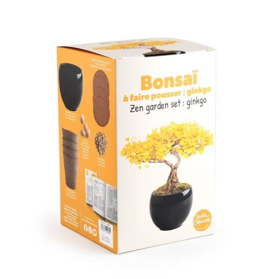 Radis et Capucine - Radis et Capucine - Kit Bonsaï - Ginkgo - Imagen 2