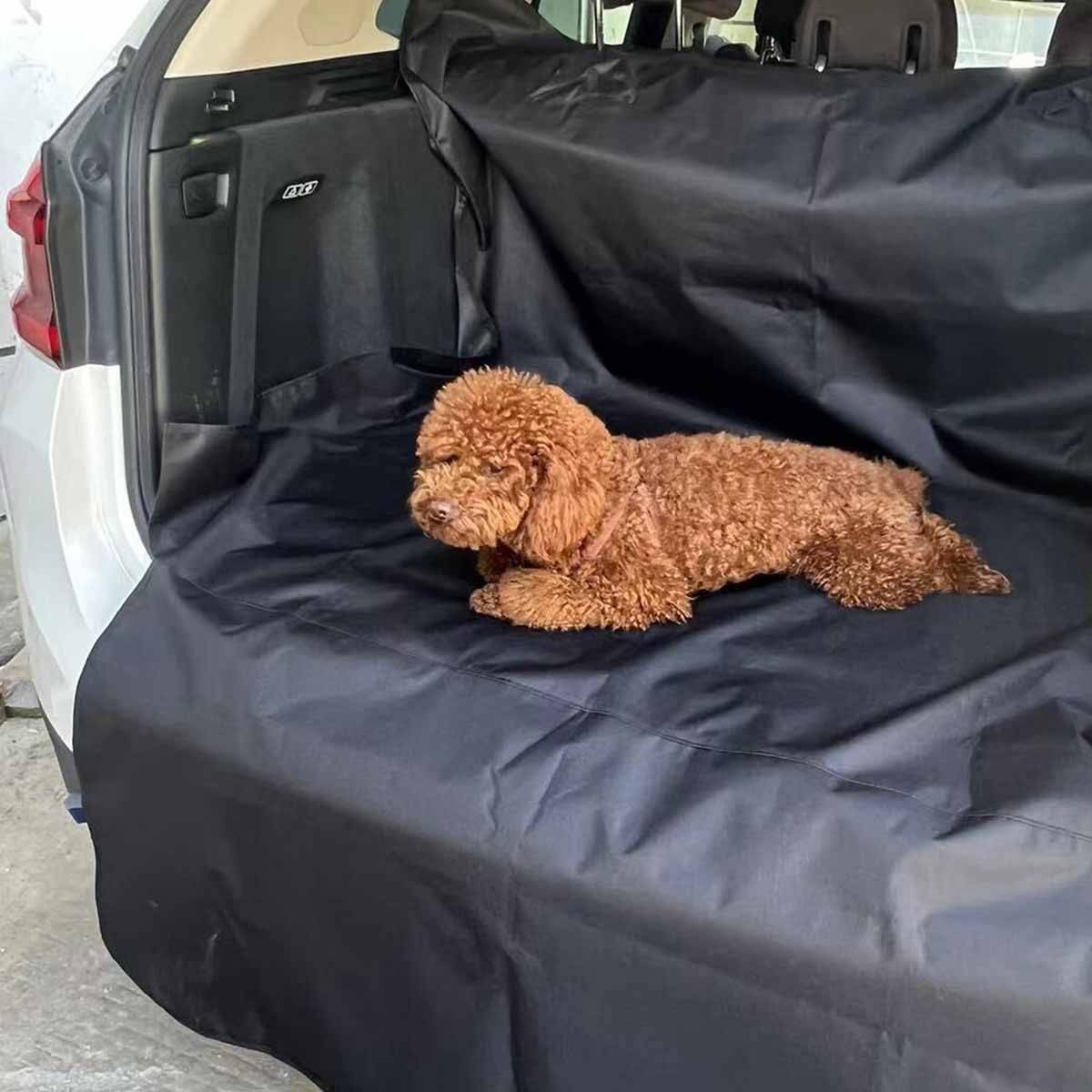 Love Story - Housse de Protection pour Chien "Auto" 204cm Noir - Image 2