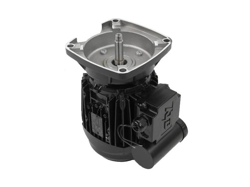 Moteur pour pompes La Sta-Rite 1 CV Tri - Pentair - Imagen 1