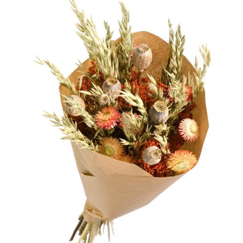 Naturalys - Bouquet fleurs séchées Automne Nature 50 cm - Naturalys