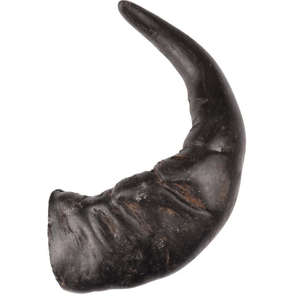 Une corne de buffle séché Nature snack, pour chiens - Image 9