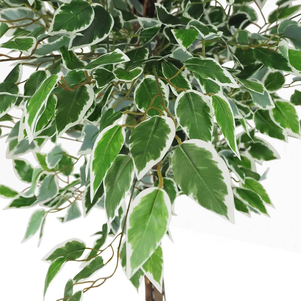 Ligne Deco - Ficus artificiel panaché 180cm - Image 4