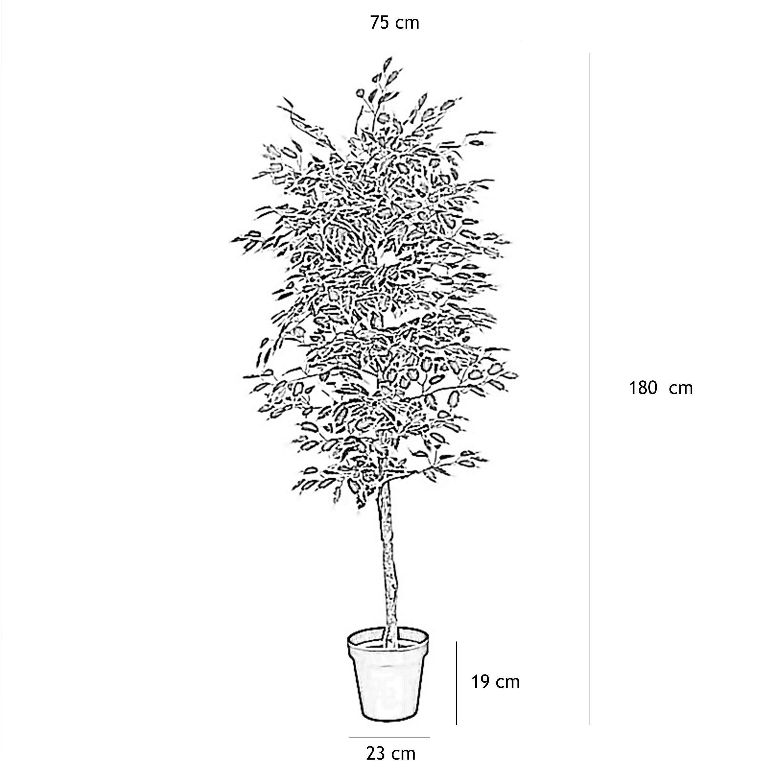Ligne Deco - Ficus artificiel panaché 180cm - Image 3