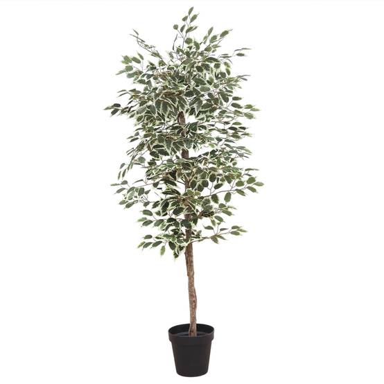 Ligne Deco - Ficus artificiel panaché 180cm - Image 1