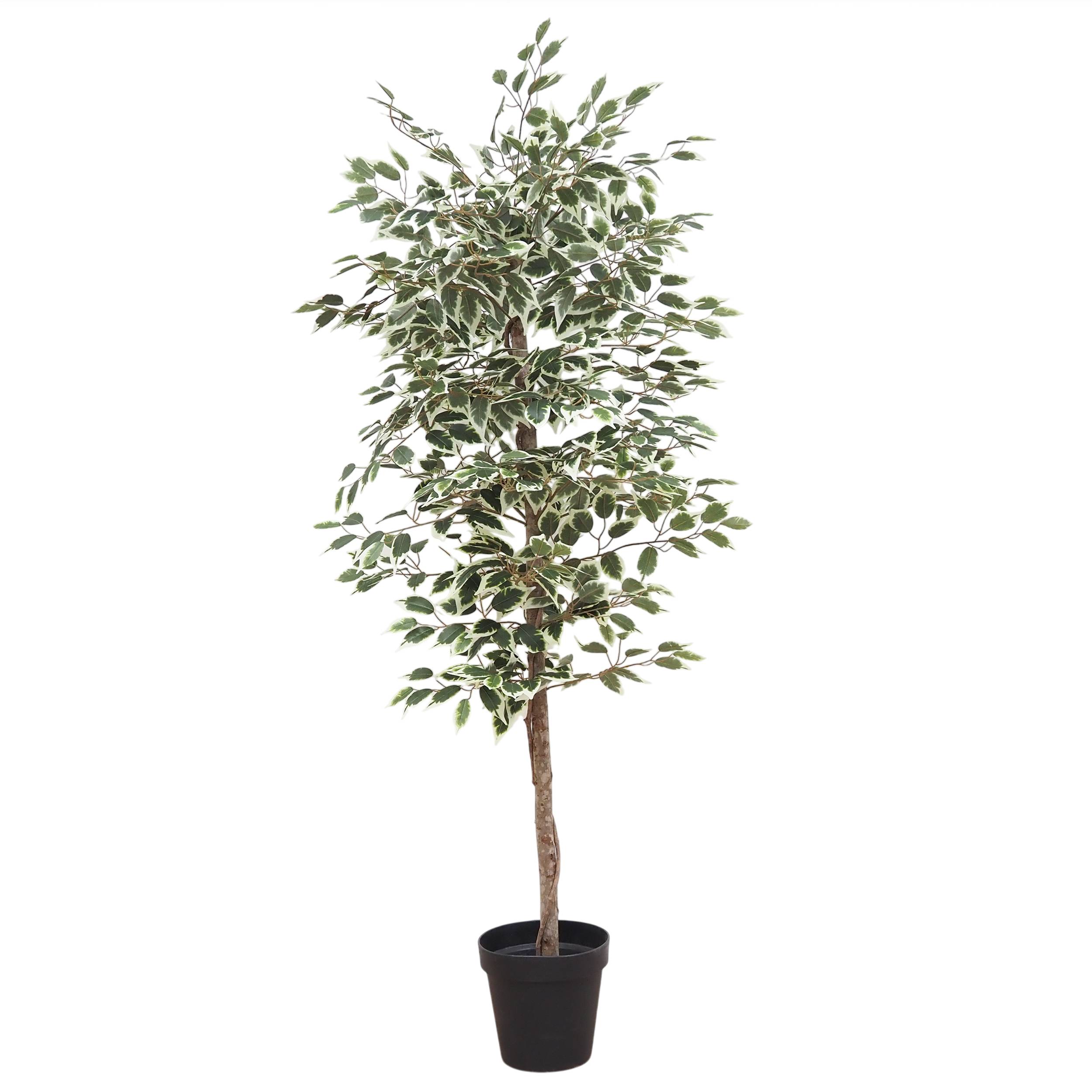 Ligne Deco - Ficus artificiel panaché 180cm - Image 1