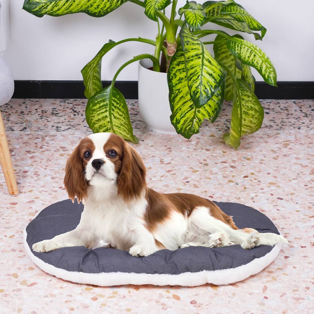 Ferplast - FERPLAST Panier Chien Chat - Coussin pour Chien Chat - Lavable en Machine - Tapis Chien Chat pour Niches et Voitures - Lit pour Chien Chat - Relax, - Imagen 4