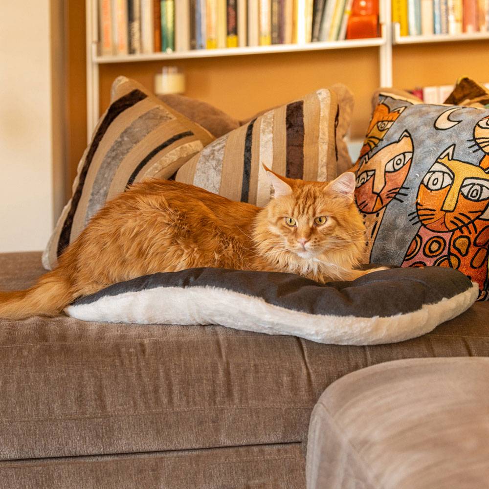 Ferplast - FERPLAST Panier Chien Chat - Coussin pour Chien Chat - Lavable en Machine - Tapis Chien Chat pour Niches et Voitures - Lit pour Chien Chat - Relax, - Imagen 5