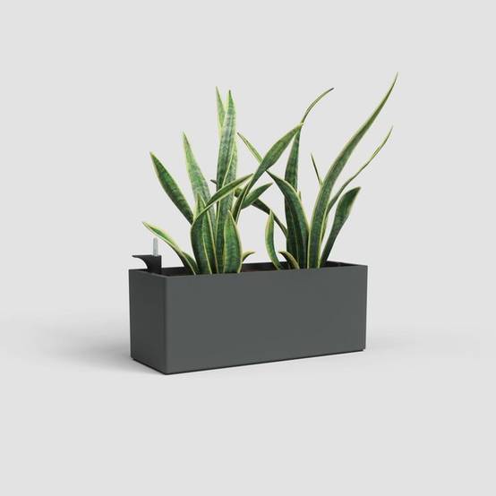 Artevasi - Jardinière rectangulaire 51 cm anthracite mat avec réserve d’eau 17 L - ARTEVASI - Image 2