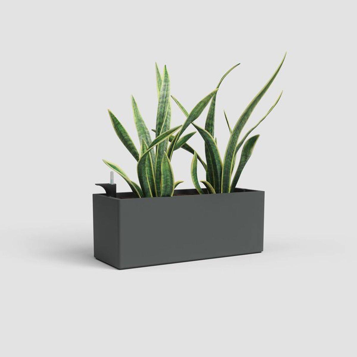 Artevasi - Jardinière rectangulaire 51 cm anthracite mat avec réserve d’eau 17 L - ARTEVASI - Image 2